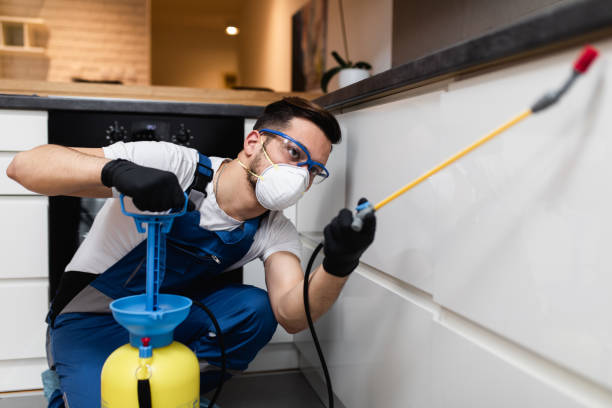 Best Pest Removal Services  in Chebanse, IL