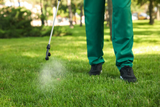 Best Local Pest Control Services  in Chebanse, IL