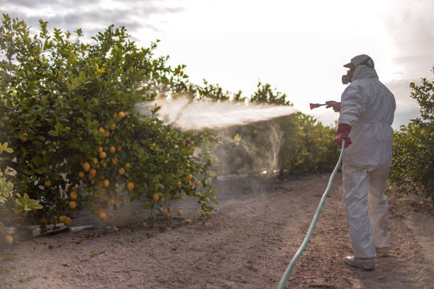 Pest Prevention Services in Chebanse, IL