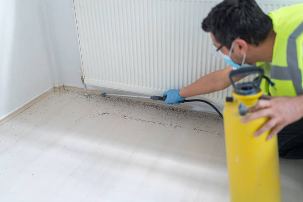 Best Pest Inspection Near Me  in Chebanse, IL